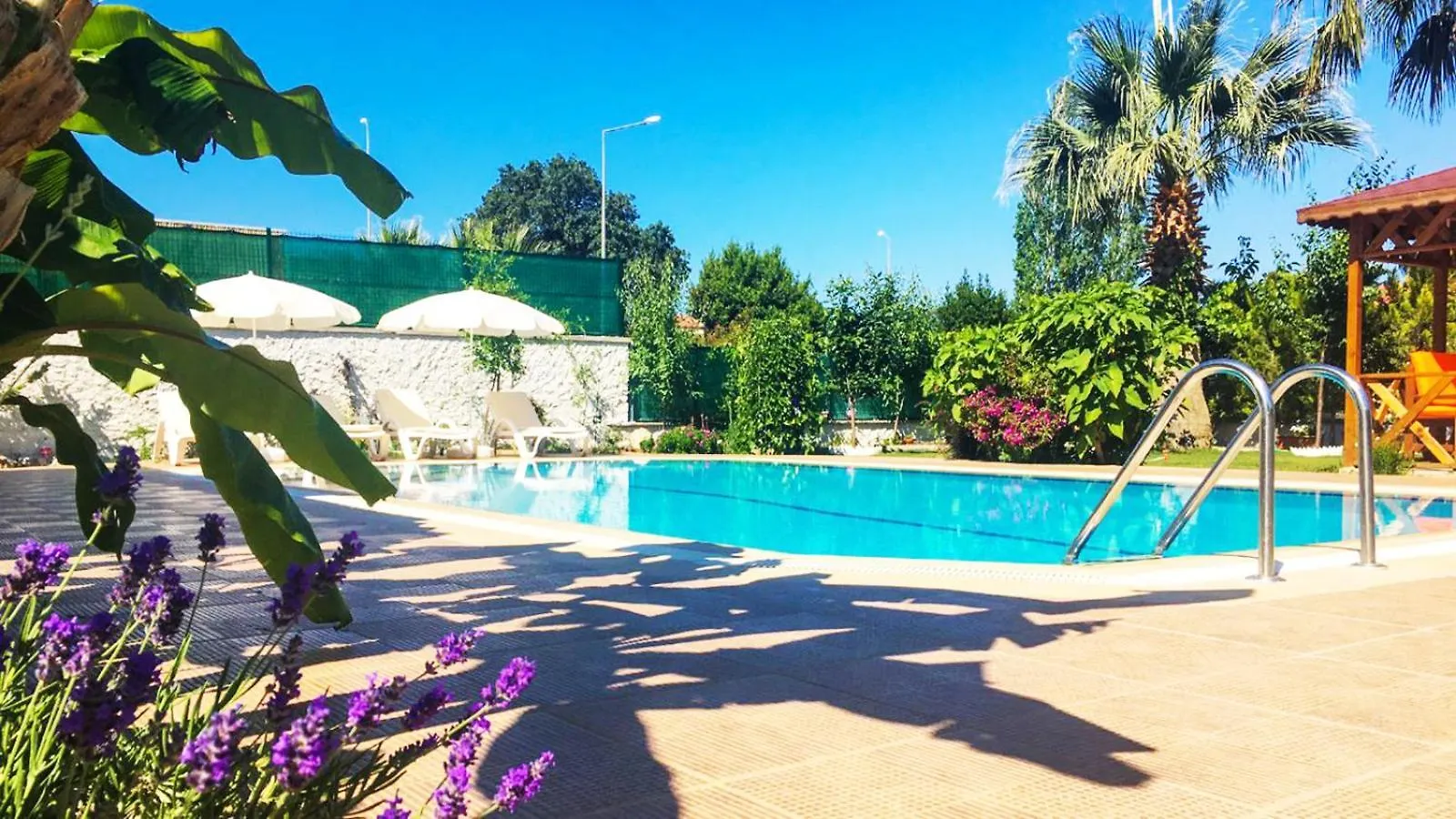 Villa Fish فتحية